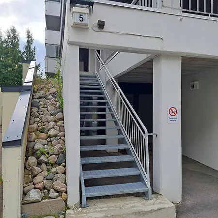 Arctic Aurora Rovaniemi